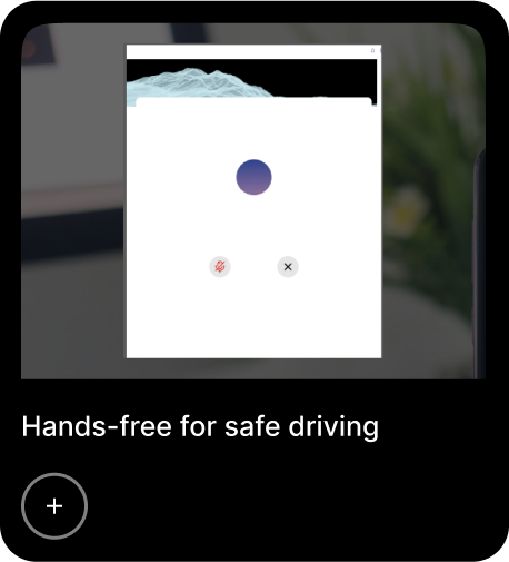 Voice Assistant Interface